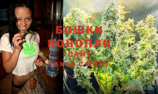 гидропоника Алексеевка