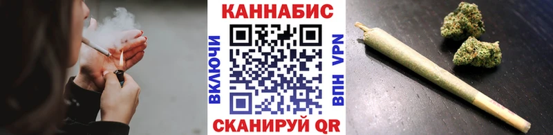 Конопля сатива  как найти наркотики  Сураж 